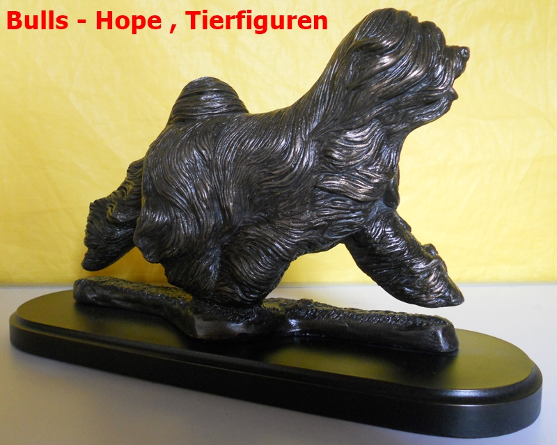 Tibet Terrier , laufend , groß