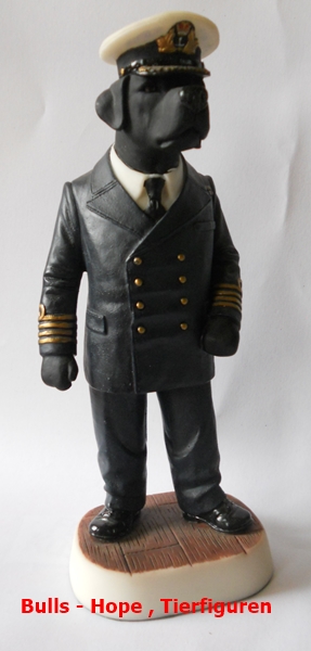 Labrador  " Naval Officer " schwarz