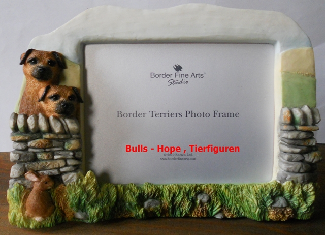 Border Terrier , Bilderrahmen